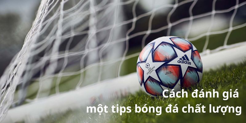 Cách để đánh giá một tips bóng đá chất lượng